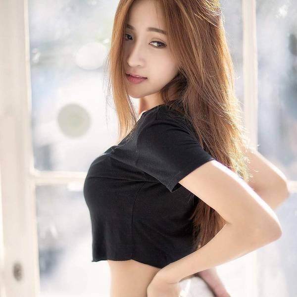战斗狂犬游戏下载